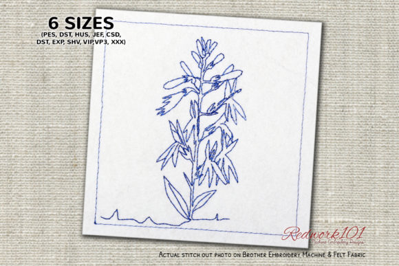 Plant of Cardinal Flower Redwork: A Designer's Review