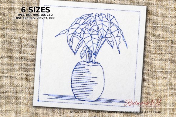Sagittarius Plants: A Designer's Review for Personalized Gifts